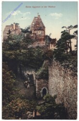 Aggstein a.d. Donau, Ruine