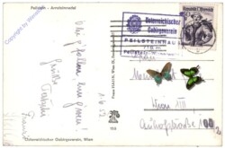 Altenmarkt a.d. Triesting, Peilstein - Arnsteinnadel