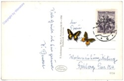 Aspang am Wechsel, Pension Klausenhof