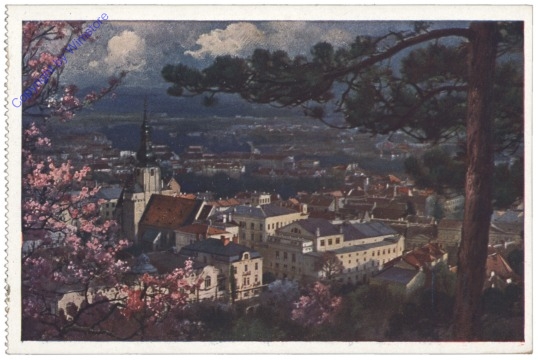 Baden, Ortsansicht