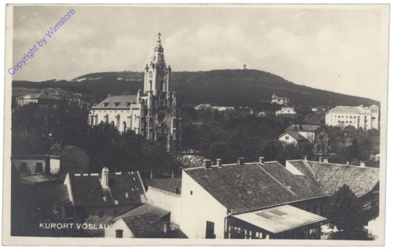 Bad Vöslau, Ortsansicht