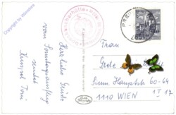 Breitenstein, Speckbacherhütte am Kreuzberg, Ausblick gegen die Rax