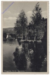 Gloggnitz, Syrnteich