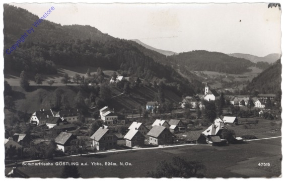 ak130835 Göstling, Ortsansicht