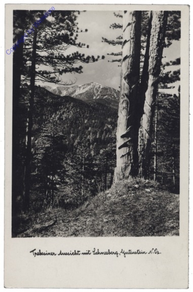 ak130939 Gutenstein, Trebesiner Aussicht mit Schneeberg