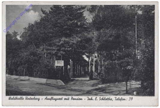 ak130947 Gutenstein, Waldhalle Unterberg, Ausflugsort mit Pension