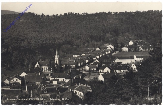 ak131131 Hirtenberg, Ortsansicht