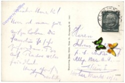 Kamegg, Ortsansicht
