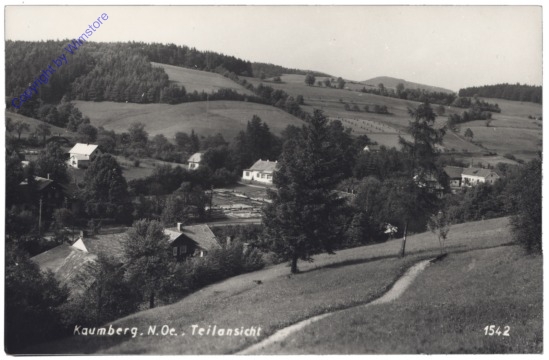 Kaumberg, Teilansicht