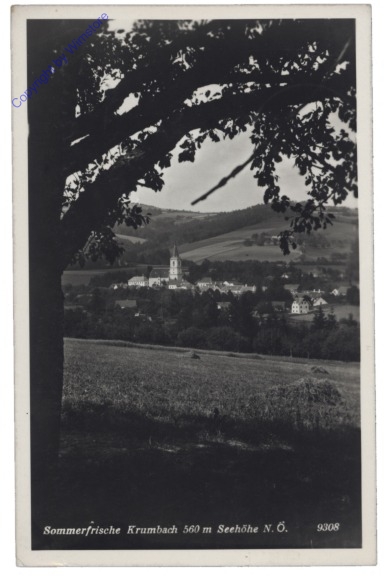 ak131523 Krumbach, Ortsansicht