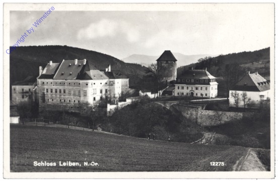 Leiben, Schloss