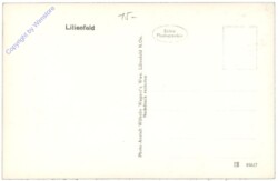 Lilienfeld, Ortsansicht