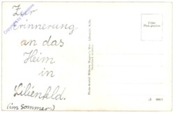 Lilienfeld, Heim im Sommer