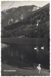 Lunzer See, Ansicht