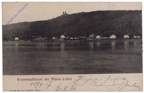 Maria Taferl, Krummnussbaum
