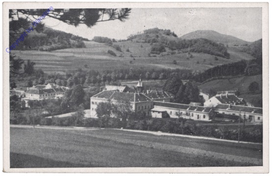 Mayerling, Karmelkloster und Greisenasyl