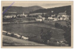 Mönichkirchen, Ortsansicht