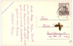 Neuhaus, Burg Neuhaus