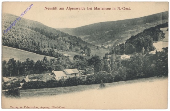 Neustift am Alpenwalde, Ortsansicht