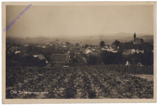 ak132070 Oberstinkenbrunn, Ortsansicht
