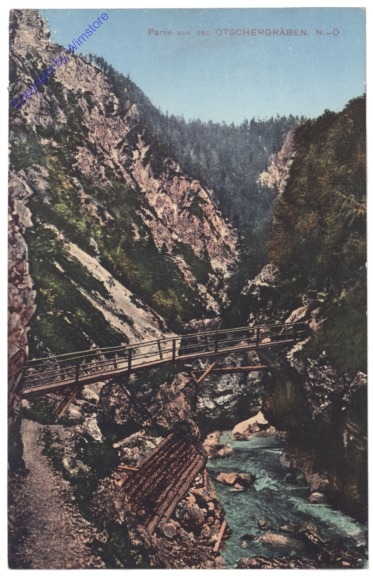 ak132087 Ötscher, Partie aus dem Ötschergräben