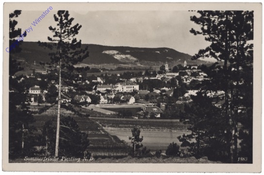 Piesting, Ortsansicht