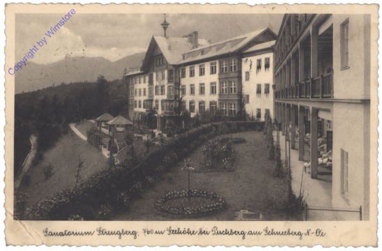 ak132297 Puchberg am Schneeberg, Sanatorium Strengberg