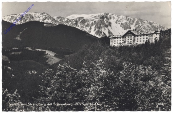 ak132298 Puchberg am Schneeberg, Sanatorium Strengberg