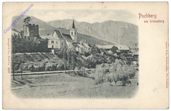 ak132302 Puchberg am Schneeberg, Ortsansicht