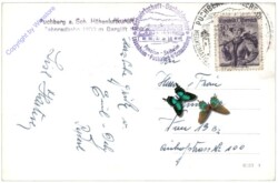 Puchberg am Schneeberg, Ortsansicht