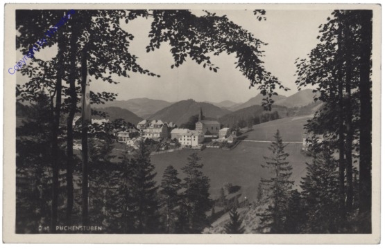Puchenstuben, Ortsansicht