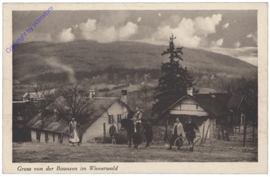 Purkersdorf, Baunzen