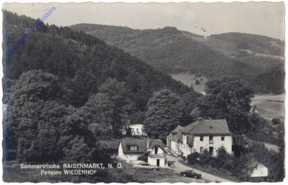 ak132402 Raisenmarkt, Pension Wiedenhof