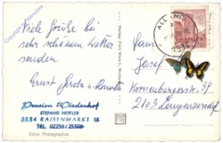 Raisenmarkt, Pension Wiedenhof