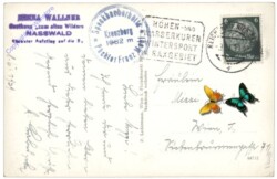ak132474a Reichenau, Wartholz-Kreuz