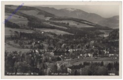 Reichenau, Hotel Fischer