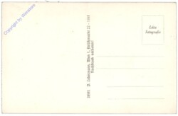 Reichenau, Hotel Fischer