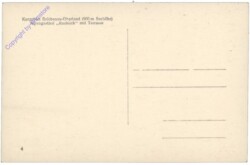 ak132484a Reichenau, Alpengasthof "Raxblick"