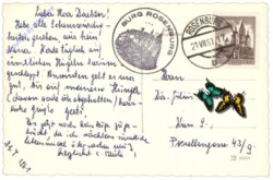 Rosenburg am Kamp, Blick zum Wartturm