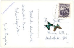 Seebenstein, Ortsansicht