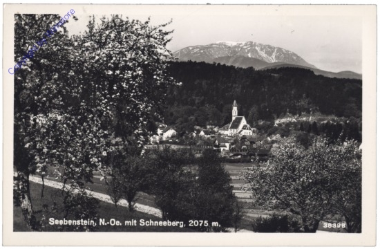 Seebenstein, mit Schneeberg