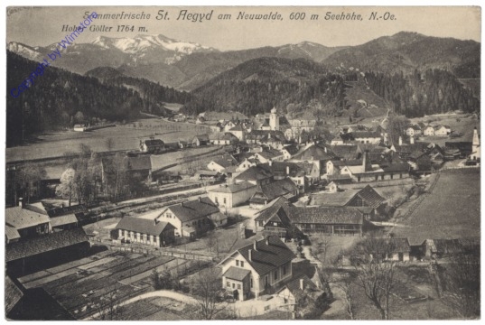 St. Aegyd am Neuwalde, Ortsansicht