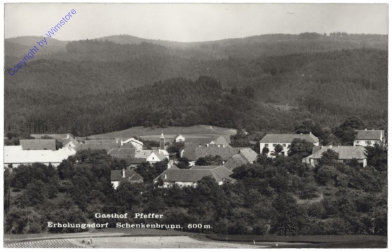 ak133066 Schenkenbrunn, Gasthof Pfeffer