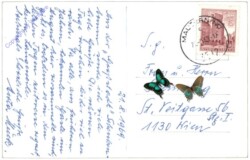 Schenkenbrunn, Gasthof Pfeffer