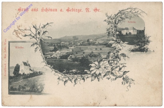 ak133134 Schönau im Gebirge, Gruss aus