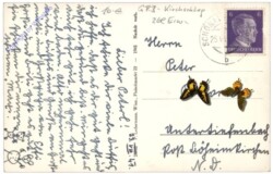 Schönau im Gebirge, Thermalbad