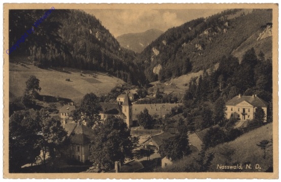 Schwarzau am Steinfeld, Nasswald
