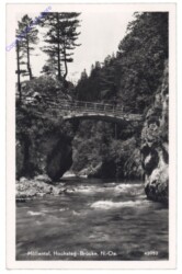 Schwarzau am Steinfeld, Höllental, Hochsteg-Brücke
