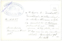 Schwarzau am Steinfeld, Obersberg, Waldfreundehütte