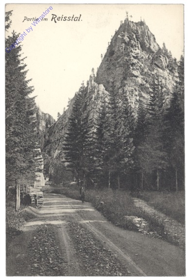 Schwarzau am Steinfeld, Partie im Reisstal
